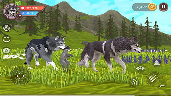 WildCraft�ٷ�����