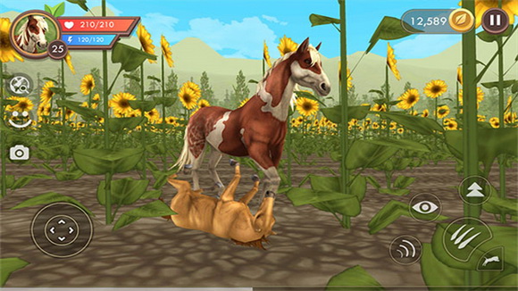 WildCraft���°�